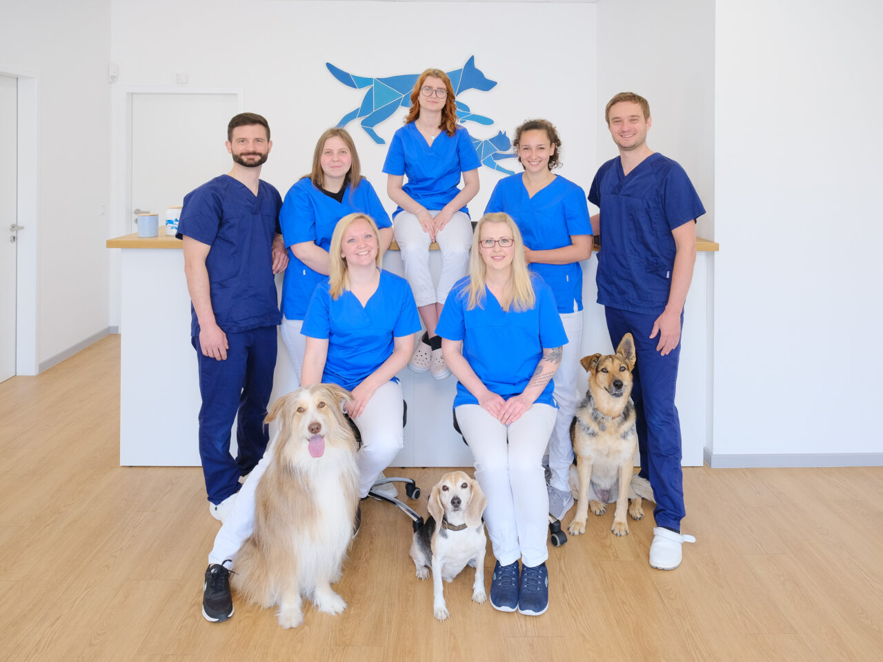 Start - Vet Chirurgie