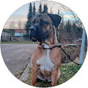 Start 3 Profilbild von „Stephan Wille“